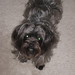 Geraldine Gray Photo 29