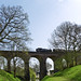 Daniel Mills Photo 12