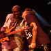 Don Key Photo 17