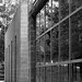 Cary Clark Photo 14
