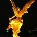Angel Cera Photo 3
