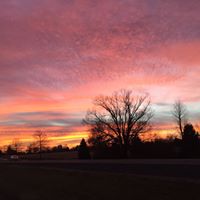 Dawn Eaton Photo 32
