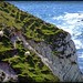 Cliff Lamb Photo 8