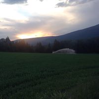 Peter Fournier Photo 24