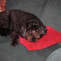 Terry Strom Photo 14