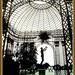 Frederick Lui Photo 9