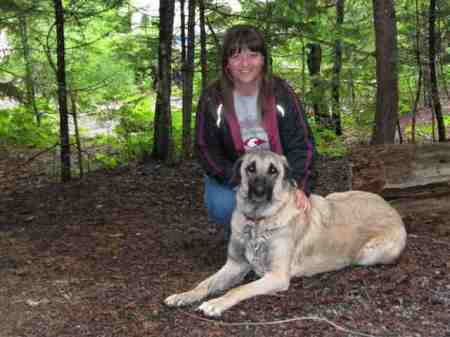 Tonya Lewis Photo 17