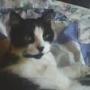 Shelly Graham Photo 21