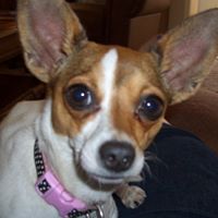 Ruth Harmon Photo 9
