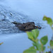 Debbie Beaver Photo 24