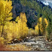 Jill Trout Photo 10