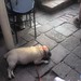 Amy Robison Photo 16