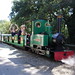 George Poole Photo 22