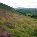 Heather Lough Photo 18