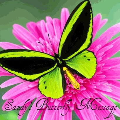 Sandy Proctor Photo 34