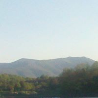 Wade Crowder Photo 3