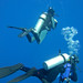Paul Anders Photo 22