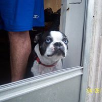 Raymond Scarbrough Photo 8