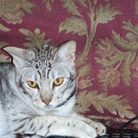 Barbara Beyer Photo 19