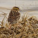 Barbara Wheeler Photo 43