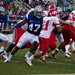 Austin Elrod Photo 13