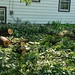 Paula Harmon Photo 10