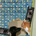Debra Brake Photo 11