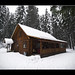 Traci Winters Photo 21