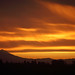 Mark Gervais Photo 27