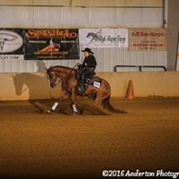 Carolyn Mckenna Photo 22