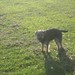 Julie Baxter Photo 21