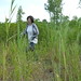 Patrick Dougherty Photo 35