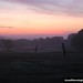Dawn Bass Photo 12