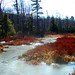 William Rothrock Photo 22