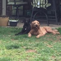 Susan Aldrich Photo 38