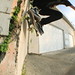 Daniel Weinstein Photo 43