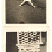 Darlene Johnson Photo 20