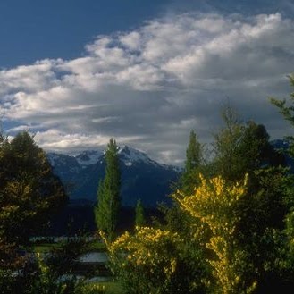 Adrian Moody Photo 25
