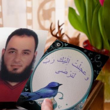 Mohamed Saied Photo 11