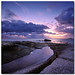 Dawn Simons Photo 24