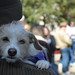 Corey Crews Photo 9