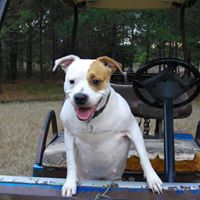 Janice Spivey Photo 17
