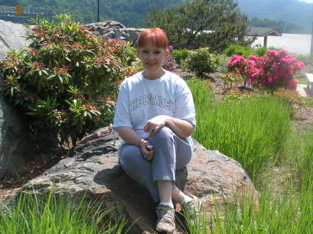 Jamie Graham Photo 15