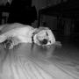 Chad Erwin Photo 21