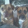Jerry Gifford Photo 9