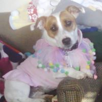 Kimberly Neuenfeldt Photo 1