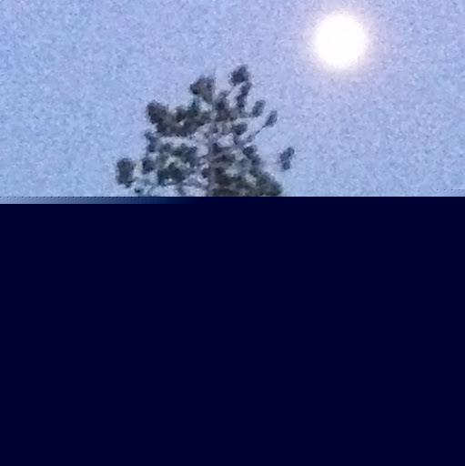 Olen Yoder Photo 4