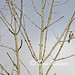 Jay Sharp Photo 8
