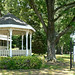 Georgia Rawls Photo 8