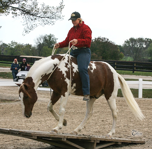 Tracy Porter Photo 9